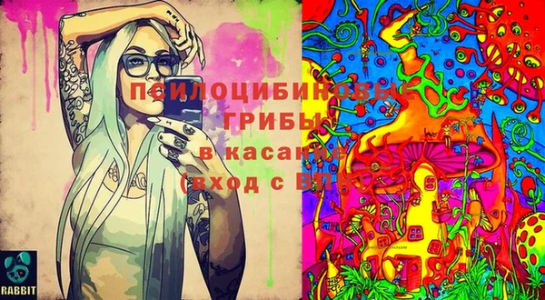 марки nbome Богородицк
