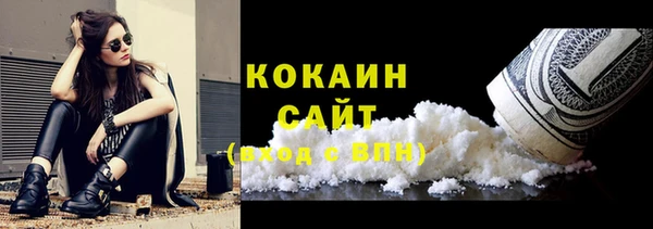 гашик Богданович