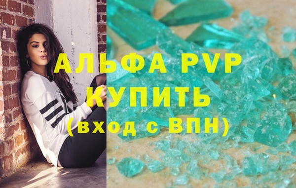 гашик Богданович