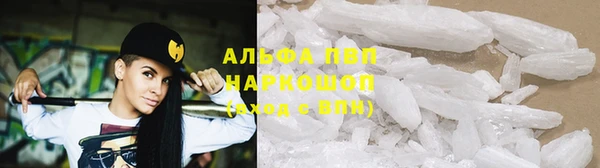гашик Богданович