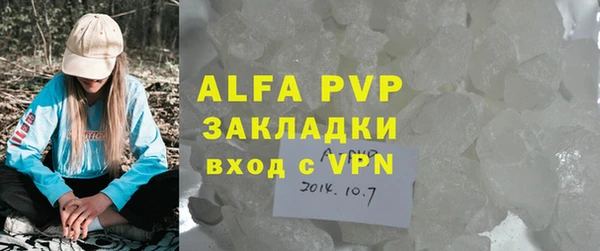 гашик Богданович