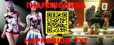 2c-b Новодвинск