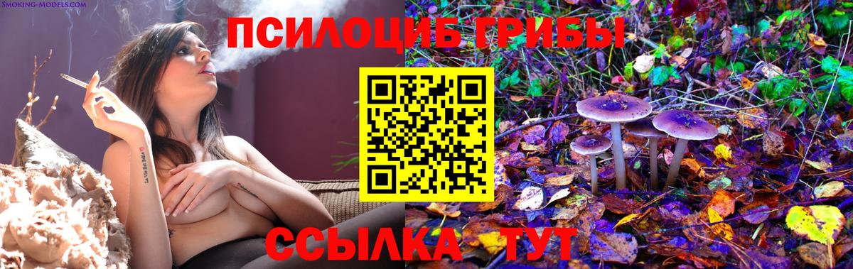 Галлюциногенные грибы MAGIC MUSHROOMS  Вход с VPN  Армавир 